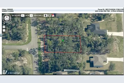 6251 N Walter Terrace, Citrus Springs, FL 34434 - Photo 4