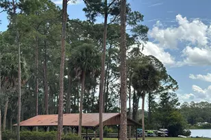 13014 NE 5th Pl, Silver Springs, FL 34488 - Photo 24