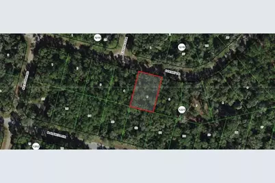 1507 E Derby Drive, Citrus Springs, FL 34434 - Photo 6