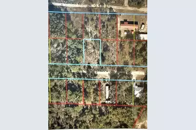 00 NE 50th Place, Williston, FL 32696 - Photo 2