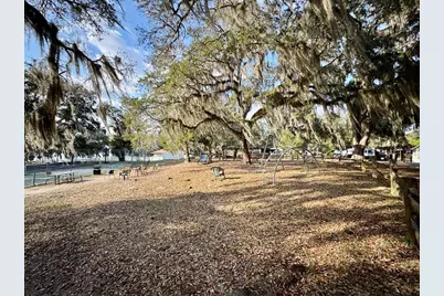 25105 NE 143rd Street, Salt Springs, FL 32134 - Photo 16