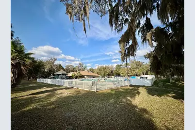 25105 NE 143rd Street, Salt Springs, FL 32134 - Photo 12