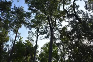 5351 SW Co Rd 347, Cedar Key, FL 32625 - Photo 66