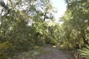 5351 SW Co Rd 347, Cedar Key, FL 32625 - Photo 62