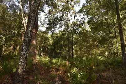 5351 SW County Road 347, Cedar Key, FL 32625 - Photo 60