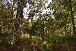 5351 SW Co Rd 347, Cedar Key, FL 32625 - Photo 60