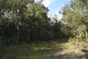 5351 SW Co Rd 347, Cedar Key, FL 32625 - Photo 64