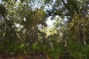 5351 SW Co Rd 347, Cedar Key, FL 32625 - Photo 68