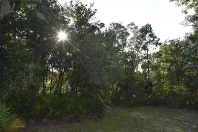 5351 SW County Road 347, Cedar Key, FL 32625 - Photo 58