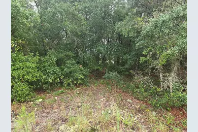 Lot 16 SW Marine Boulevard, Dunnellon, FL 34431 - Photo 4