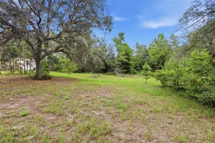 39913 Swift Rd, Eustis, FL 32736 - Photo 36