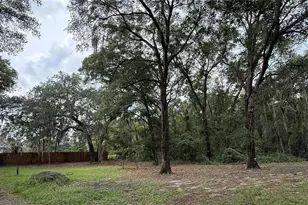 1520 Baden Powell Rd, Hawthorne, FL 32640 - Photo 28