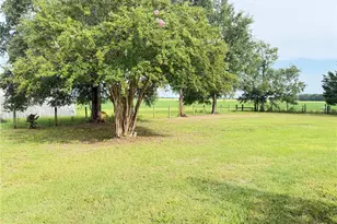 13991 NE 10 St, Williston, FL 32696 - Photo 36