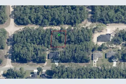 194 E Falcon Street, Citrus Springs, FL 34434 - Photo 6