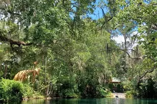 19199 SW 92nd Loop, Dunnellon, FL 34432 - Photo 54