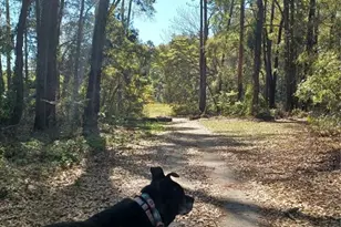19199 SW 92nd Loop, Dunnellon, FL 34432 - Photo 70