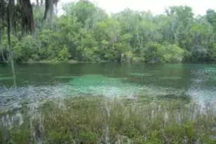 19443 SW 101st Place Rd, Dunnellon, FL 34432 - Photo 32