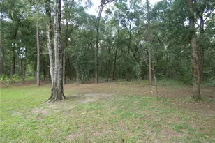 19443 SW 101st Place Rd, Dunnellon, FL 34432 - Photo 18