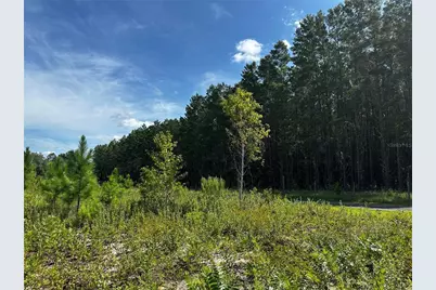 7351 NE 106th Terrace, Bronson, FL 32621 - Photo 36
