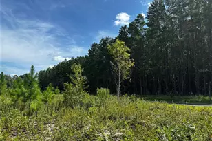 7351 NE 106 Terrace, Bronson, FL 32621 - Photo 36