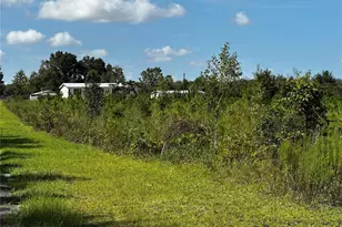 7351 NE 106 Terrace, Bronson, FL 32621 - Photo 6