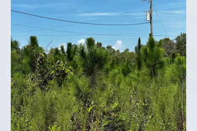 7351 NE 106th Terrace, Bronson, FL 32621 - Photo 40