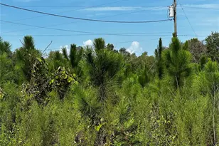 7351 NE 106 Terrace, Bronson, FL 32621 - Photo 40