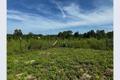 7351 NE 106th Terrace, Bronson, FL 32621 - Photo 42