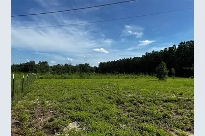 7351 NE 106th Terrace, Bronson, FL 32621 - Photo 44