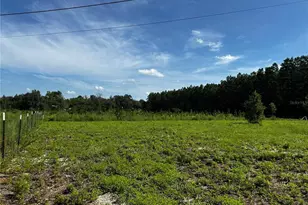 7351 NE 106 Terrace, Bronson, FL 32621 - Photo 44