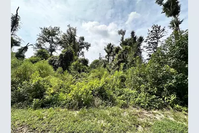 Nw West South Drive, Mayo, FL 32066 - Photo 4