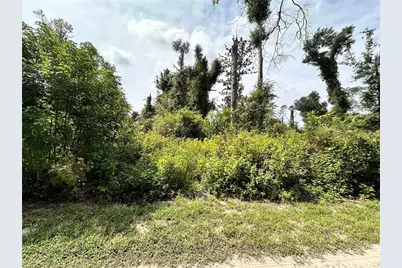 Nw West South Drive, Mayo, FL 32066 - Photo 24