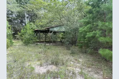 11590 NE 88th Lane, Bronson, FL 32621 - Photo 6