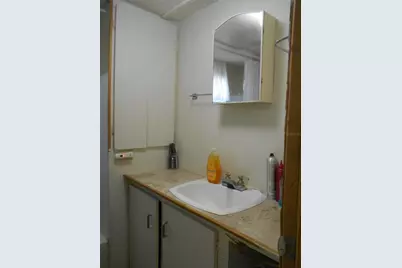 18800 NE 248th Terrace, Fort Mc Coy, FL 32134 - Photo 32