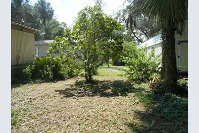 18800 NE 248th Terrace, Fort Mc Coy, FL 32134 - Photo 6