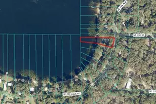 21994 NE 106 Ave, Fort Mc Coy, FL 32134 - Photo 42