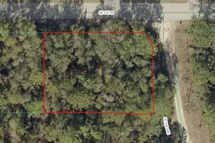 00 SE 132nd Pl, Ocklawaha, FL 32179 - Photo 1