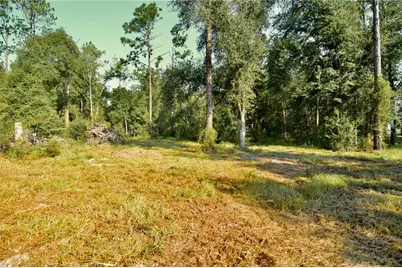 00 SW 39th Ave, Jasper, FL 32052 - Photo 8