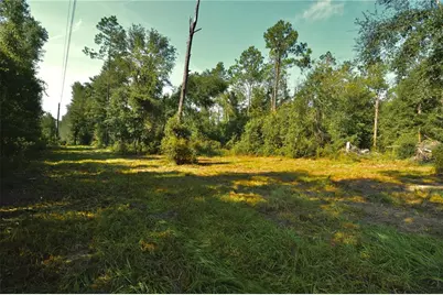 00 SW 39th Ave, Jasper, FL 32052 - Photo 12