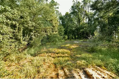 00 SW 39th Ave, Jasper, FL 32052 - Photo 30