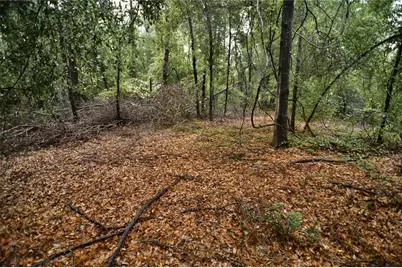 00 SW 39th Ave, Jasper, FL 32052 - Photo 20