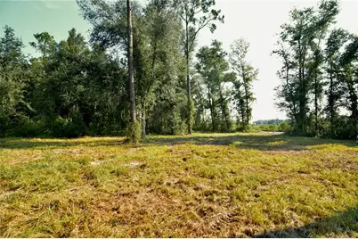 00 SW 39th Ave, Jasper, FL 32052 - Photo 2