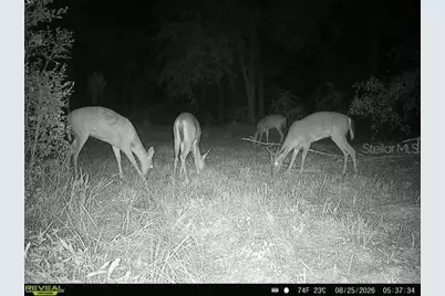 00 SW 39th Ave, Jasper, FL 32052 - Photo 36