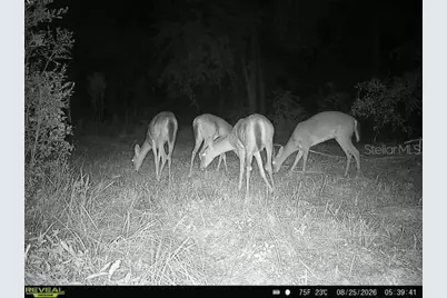 00 SW 39th Ave, Jasper, FL 32052 - Photo 38