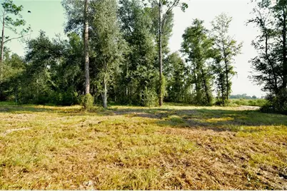 00 SW 39th Ave, Jasper, FL 32052 - Photo 10
