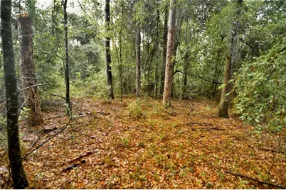 00 SW 39th Ave, Jasper, FL 32052 - Photo 22