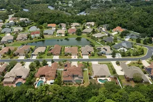 1726 Nodding Thistle Dr, New Port Richey, FL 34655 - Photo 74