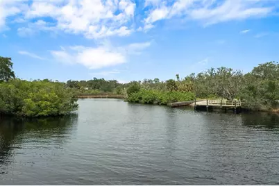 1726 Nodding Thistle Drive, New Port Richey, FL 34655 - Photo 78