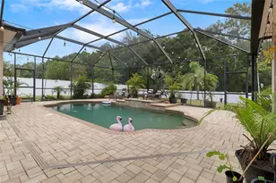 1726 Nodding Thistle Dr, New Port Richey, FL 34655 - Photo 58