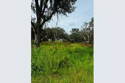 Tbd SW Shorewood Drive, Dunnellon, FL 34431 - Photo 4